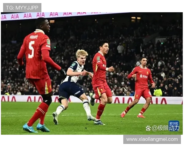 热刺与诺维奇精彩对决瞬间回顾图片集锦分享